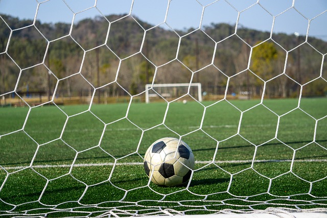 曾经是一项 曾经是一项