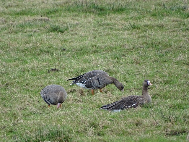 他送出兩次 他送出兩次